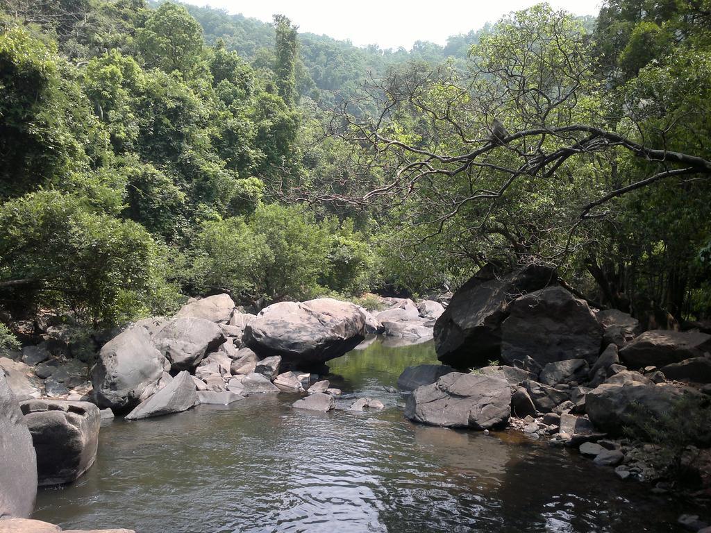 Dudhsagar Plantation Villa Cormonem Exteriör bild