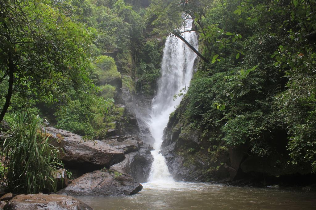 Dudhsagar Plantation Villa Cormonem Exteriör bild