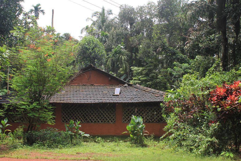 Dudhsagar Plantation Villa Cormonem Exteriör bild